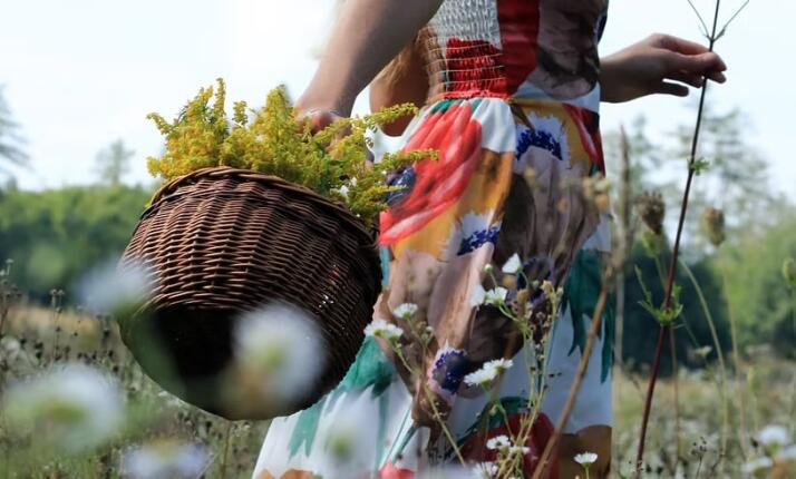 Procházka za bylinkami s ochutnávkou nebo výrobou bylinného oleje v Praze (Modřanská rokle)