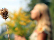 Procházka za bylinkami s ochutnávkou nebo výrobou bylinného oleje v Praze (Chuchelský háj)