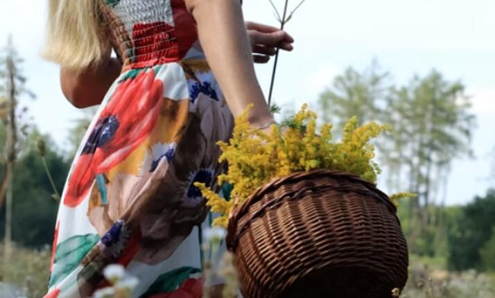 Procházka za bylinkami s ochutnávkou nebo výrobou bylinného oleje v Praze (Chuchelský háj)