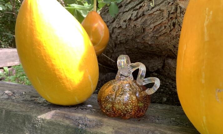 Sklárny Kamenický Šenov - Výroba skleněné dýně pro 4 osoby