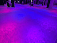 Nezapomenutelná rozlučka se svobodou v Kuličkáriu - pronájem kuličkária