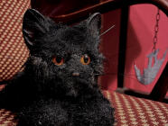 Úniková hra - Únik z domu Usherů