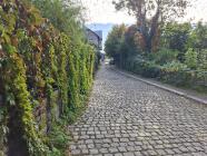 Venkovní hra - Záhada starého Liberce