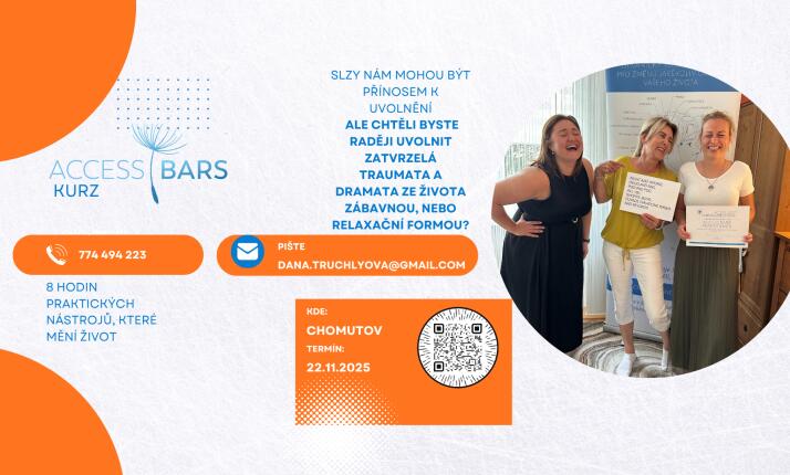 Dovolená pro mozek v Chomutově - Access Bars kurz