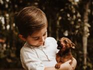 Workshop - Komunikace se zvířaty