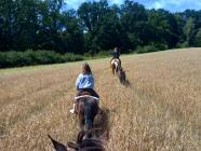 Vyjížďka na koni - vydej se na koni Máchovým krajem