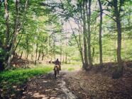 Vyjížďka na koni - vydej se na koni Máchovým krajem