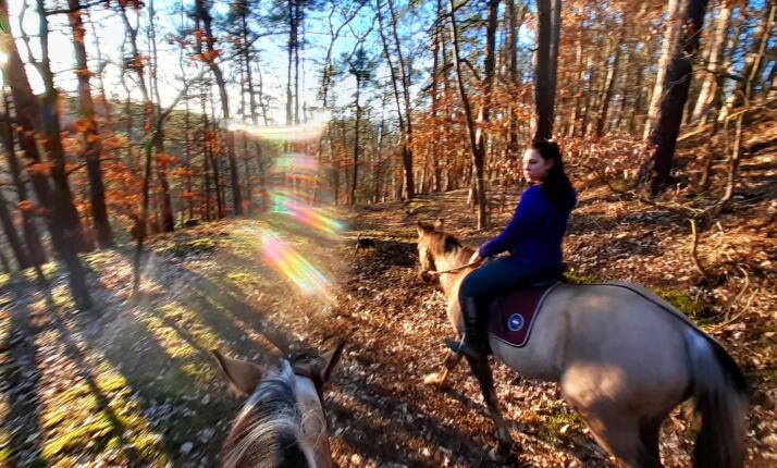 Vyjížďka na koni - vydej se na koni Máchovým krajem