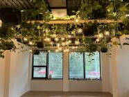 Jóga – cesta k harmonii těla, mysli a emocí