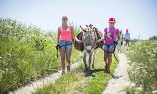 Relaxační víkend s oslíky v Českém ráji pro rodiče a děti