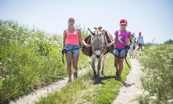 Relaxační víkend s oslíky v Českém ráji pro rodiče a děti