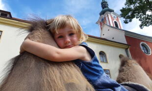 Návštěva velbloudí farmy Záhostice