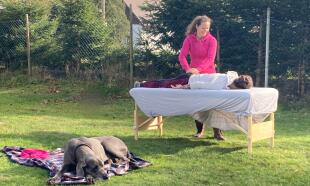 Kraniosakrální uvolnění - jemné působení na kvalitu proudění mozkomíšního moku v mozku a páteři