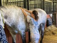 Kraniosakrální uvolnění - jemné působení na kvalitu proudění mozkomíšního moku v mozku a páteři