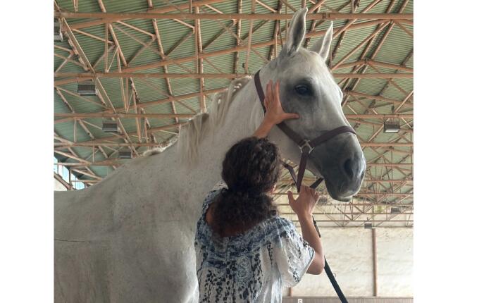 ET - Equine Touch - terapie vhodná pro koně