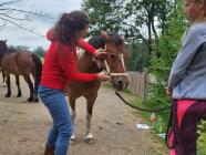 ET - Equine Touch - terapie vhodná pro koně