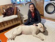 CT - Canine Touch - terapie vhodná pro psy