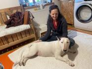 CT - Canine Touch - terapie vhodná pro psy