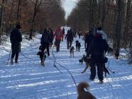 Vodítková socializace - ÚT v 18:00