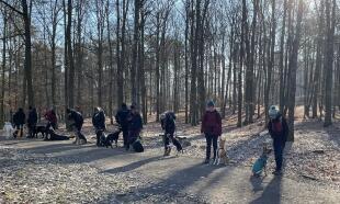 Vodítková socializace - ÚT v 18:00