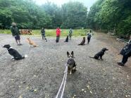 Socializace „PRO“ – SO v 9:00