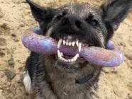 Individuální trénink