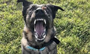 Individuální trénink