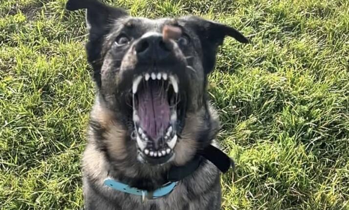 Individuální trénink