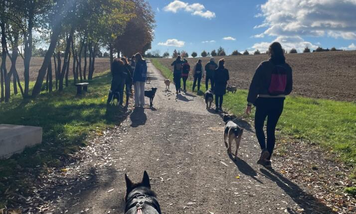 Socializace „PRO“ – SO v 9:00