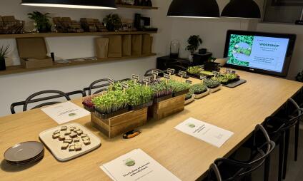Workshop pěstování mikrobylinek - od výběru správných semínek až po sklizeň