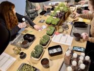 Workshop pěstování mikrobylinek - od výběru správných semínek až po sklizeň