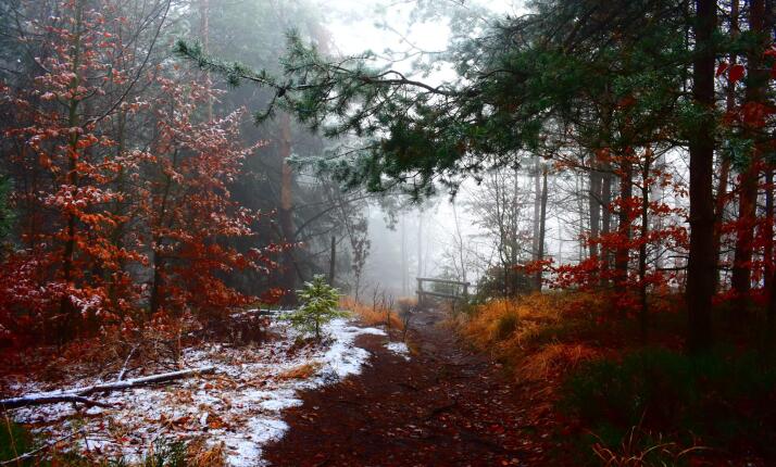 Kurz přežití na 3 dny - Drsnější kurz