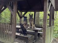 PSOCHAJDA aneb ÚTĚK Z BRNA - VÝLET