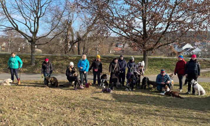Vodítková socializace ŽIDLOCHOVICE, Komenského