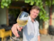 Řízená degustace vín ve vinařství U Vrbů