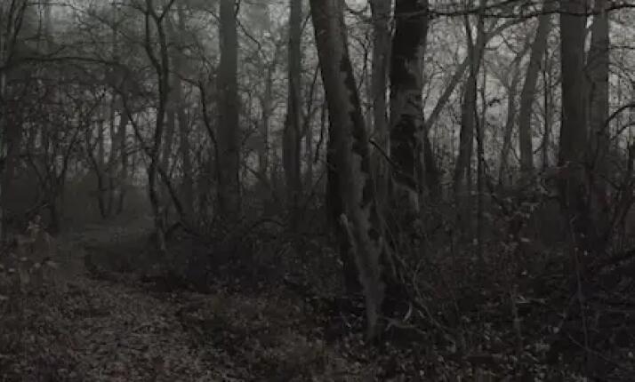 Outdoorová hra - NOČNÍ DĚS