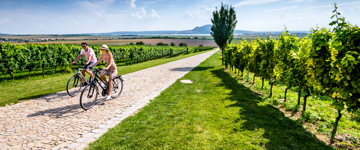 lednice cyklo výlet po okolí
